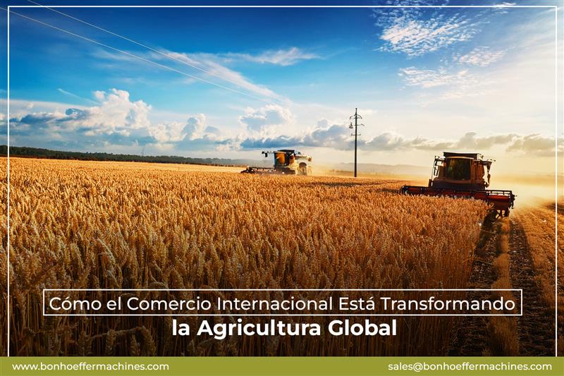 Cómo el Comercio Internacional Está Transformando la Agricultura Global