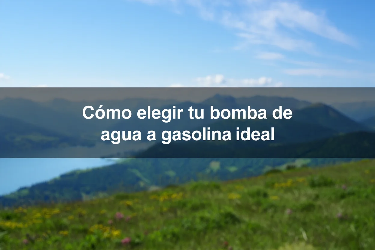Cómo elegir la bomba de agua a gasolina adecuada para tu proyecto
