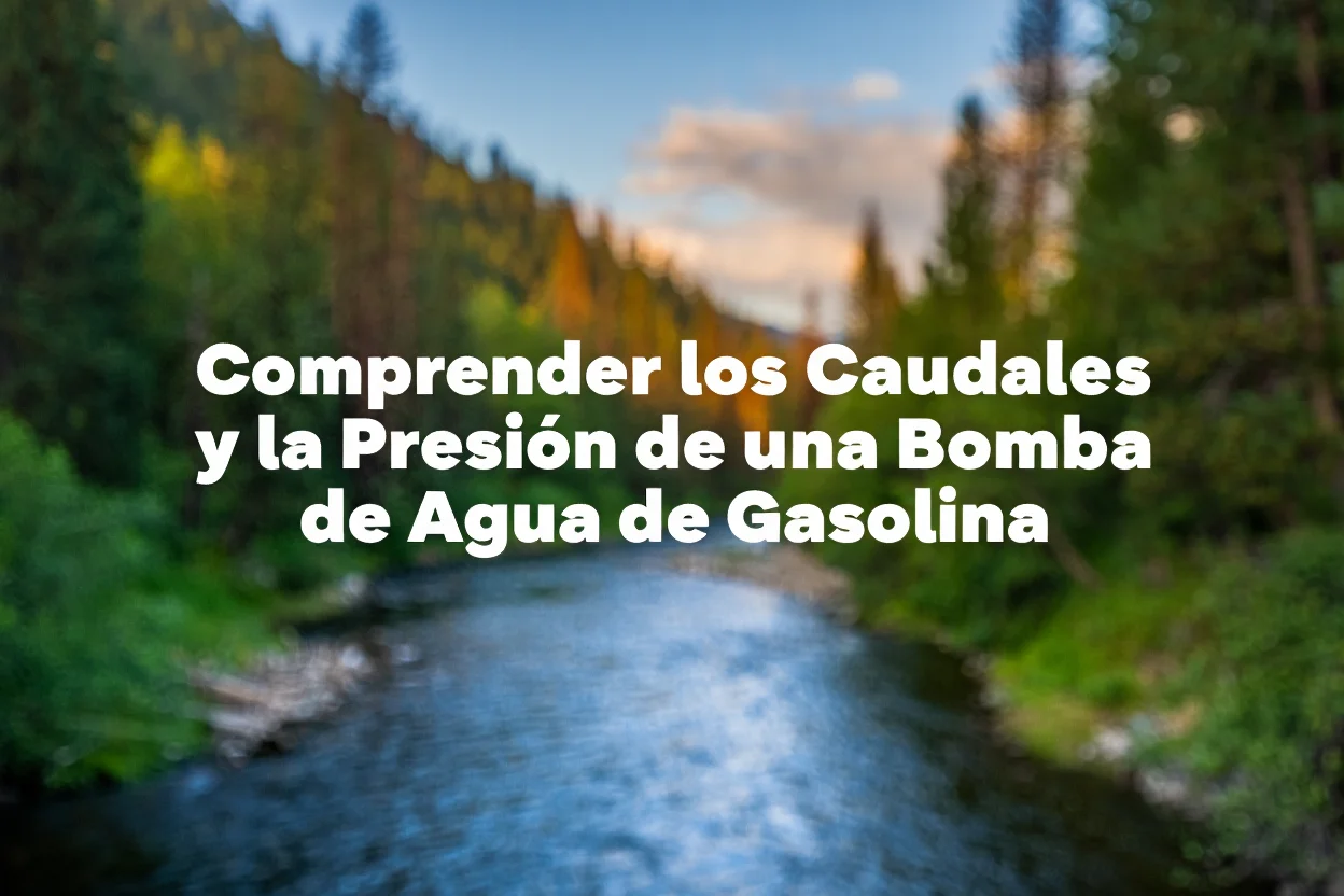 Comprender los Caudales y la Presión de una Bomba de Agua de Gasolina