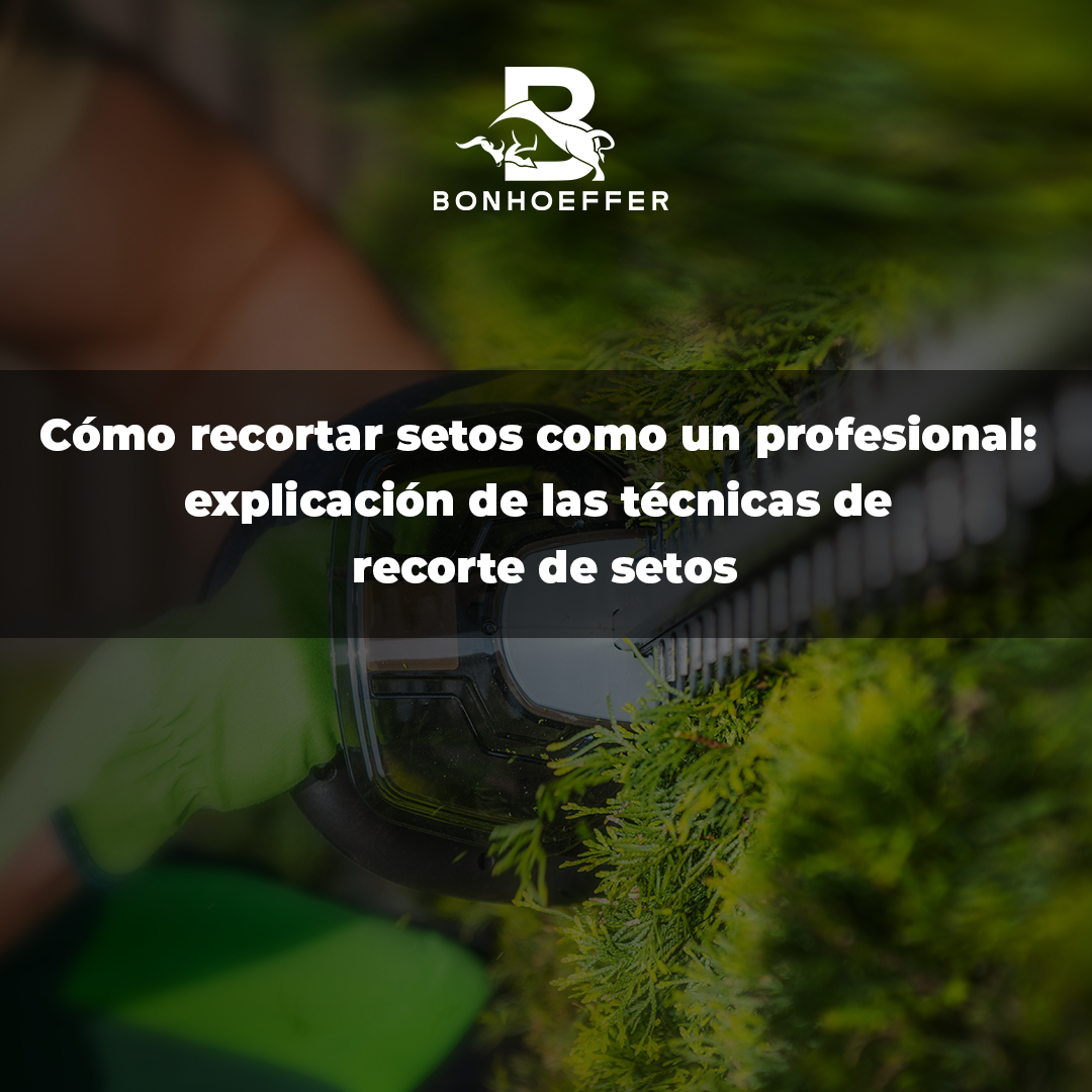 Cómo podar setos como un profesional: Técnicas para utilizar la podadora explicadas